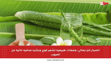 الصبار كنز جمالي: وصفات طبيعية لشعر قوي وبشرة صافية خالية من العيوب